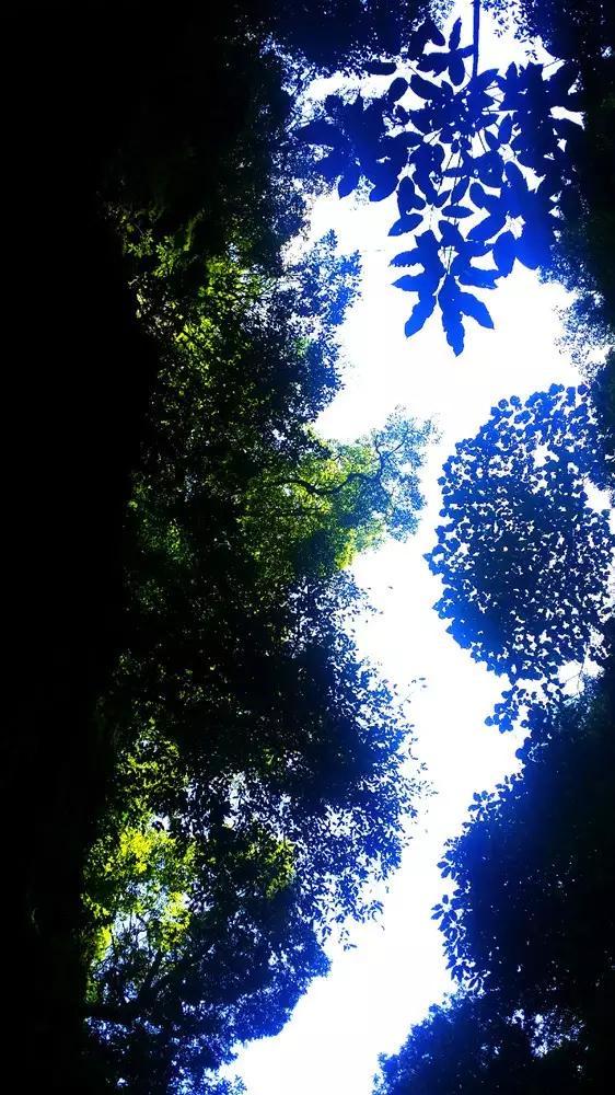 逗小猴开心系列178